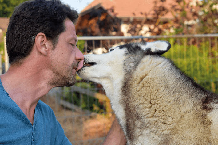 Le chien embrasse son maître